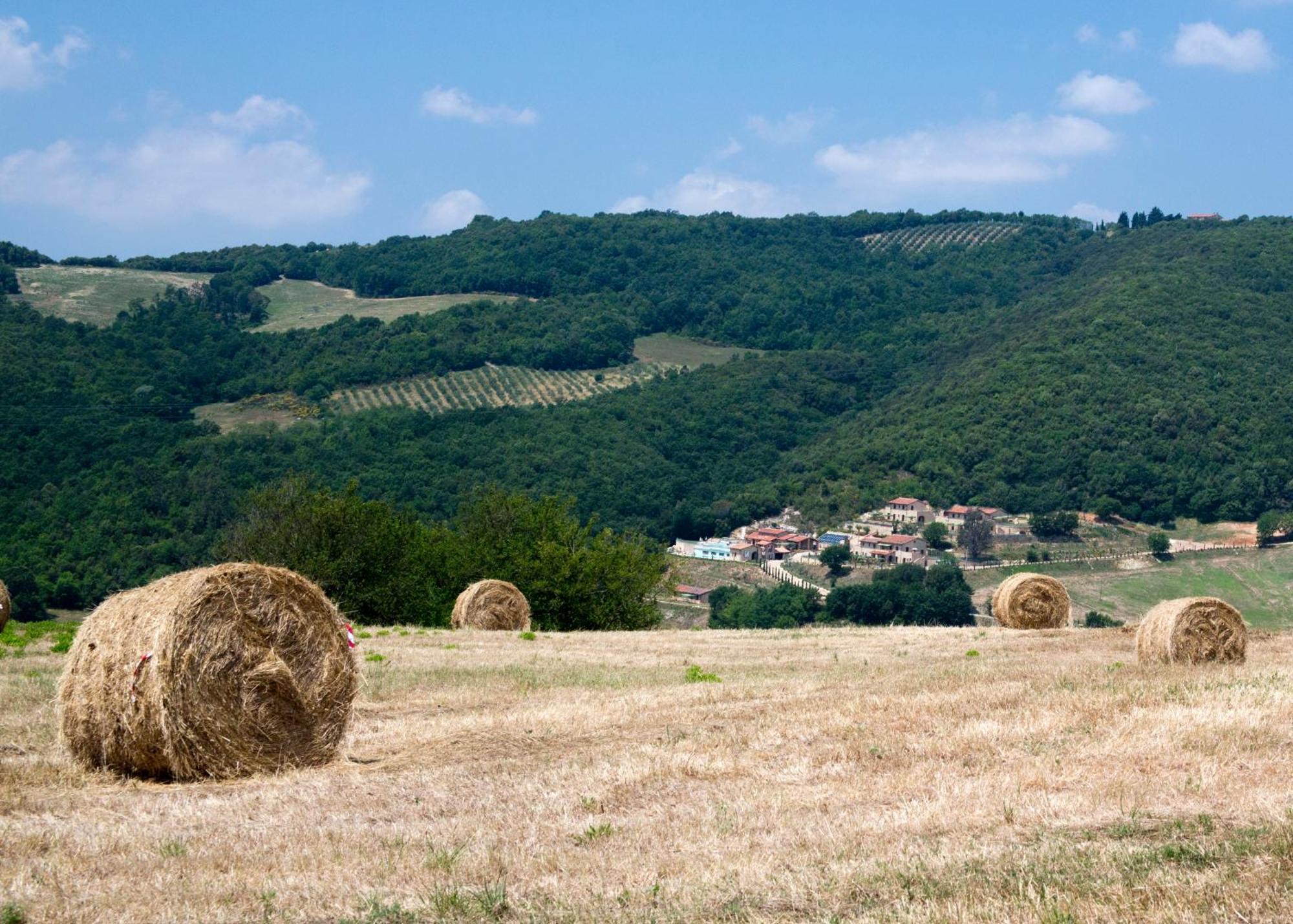 Fonte Alla Lepre Riparbella Esterno foto